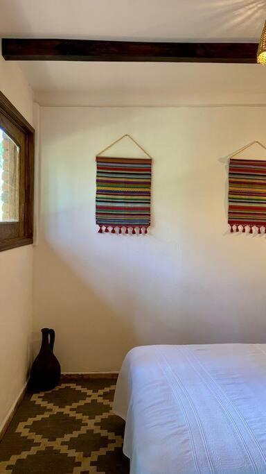 Habitacion Rancho Las Moras San Mateo Rio Hondo 외부 사진